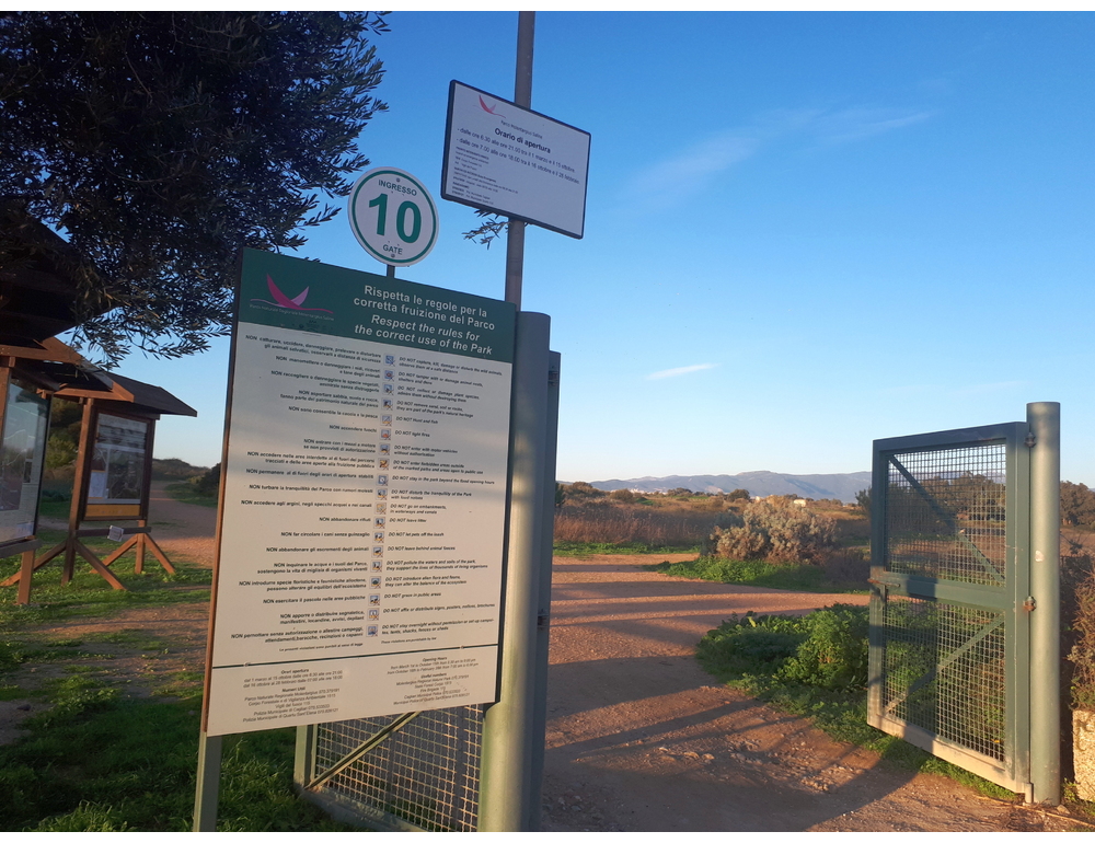 Cagnolini seviziati e uccisi a Cagliari, ‘chi sa parli’