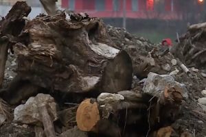 Rifiuti accatastati a Muggiò, il Pd incalza il sindaco Rapinese