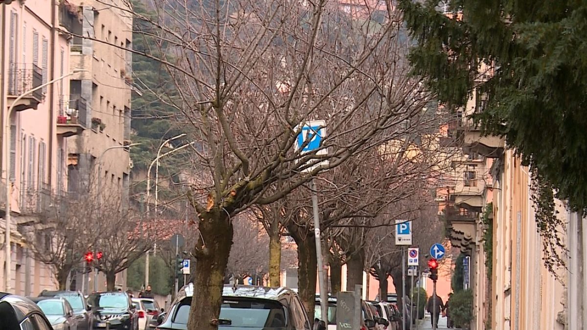 ciliegi XX Settembre Como