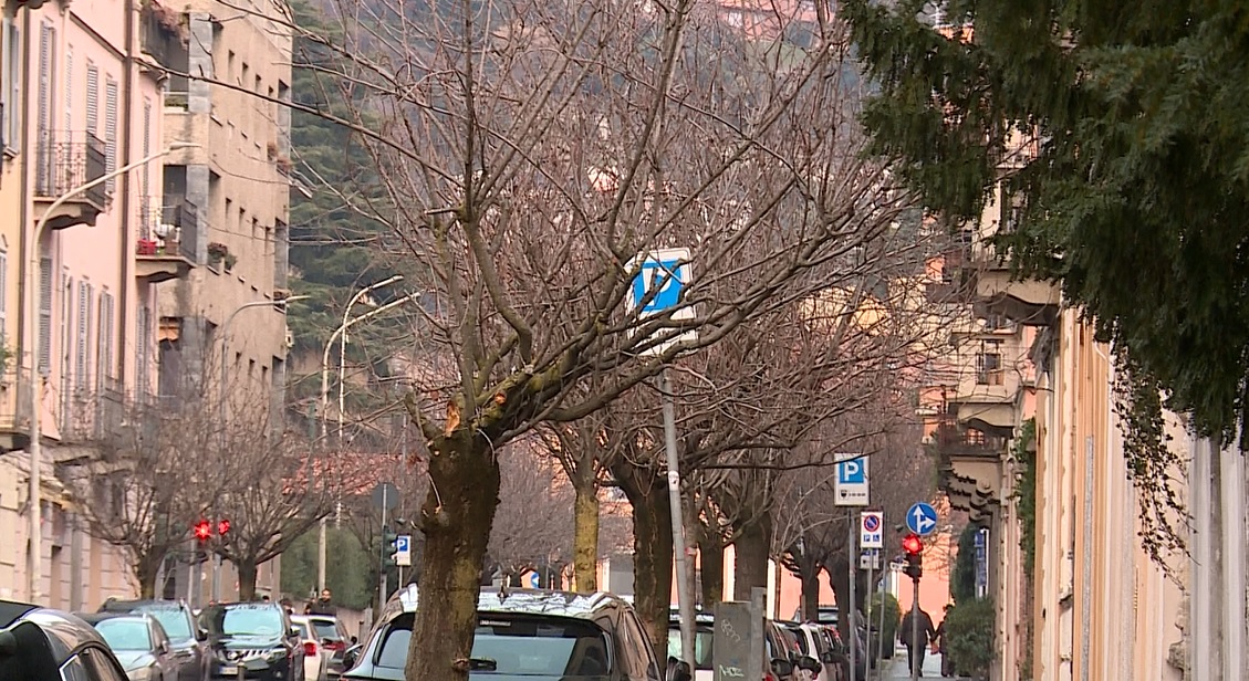 Como, via XX Settembre: nuova perizia dei cittadini. Rapinese: “Ho risolto quasi tutti i problemi, quindi si attaccano ai ciliegi”