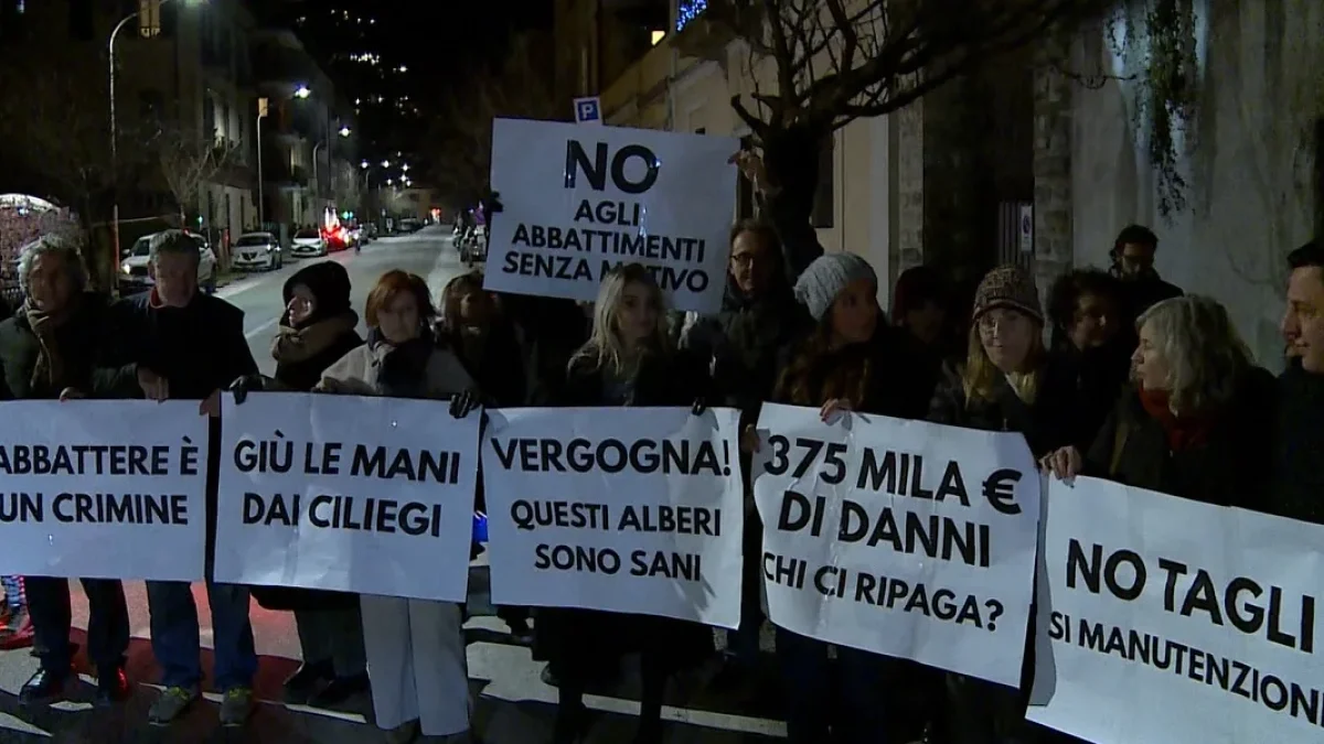 manifestazione ciliegi via XX Settembre