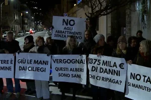 Ciliegi di via XX Settembre, ricompare il divieto di sosta e i residenti protestano. Avviata la raccolta fondi