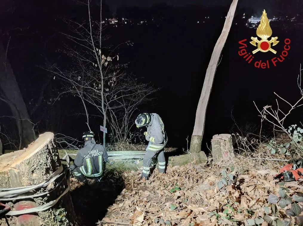 Figino Serenza, 70enne muore schiacciato da una pianta