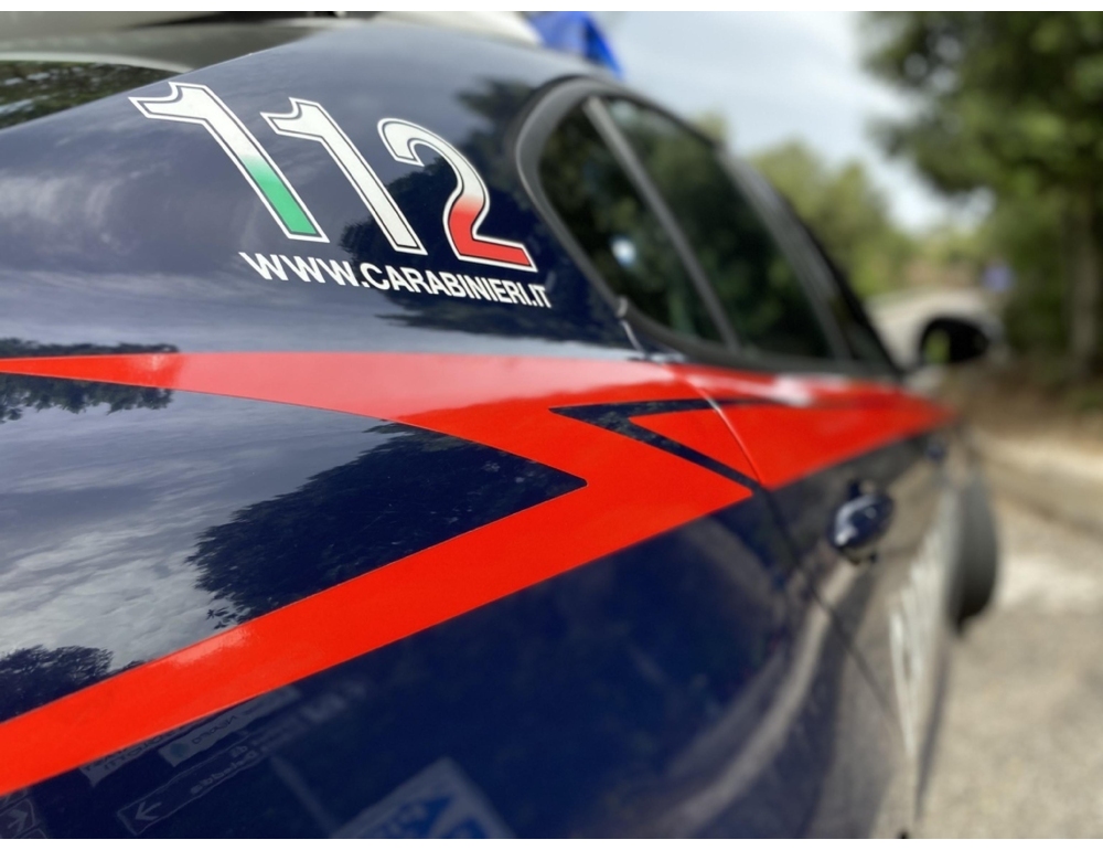 Ha ucciso la madre e l’ha sepolta in un bosco, ‘ fermato’